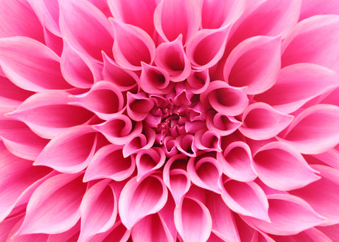 Gift Voucher Card for Massage/Beauty Salons, Nail, Facial Treatment