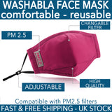 Pink Reusable Fabric Mask Compatible with PM2.5 Activated Carbon Filter