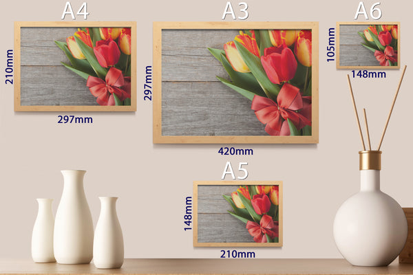PRINTED POSTER - Beauty Salon Room Wall Decor Print Unframed - Tulips