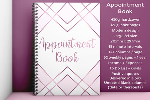 A4 Undated Appointment Book for Beauty Salons Therapists 4 Columns Income Expenses Calendar