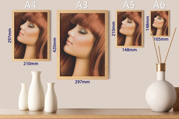 PRINTED POSTER - Beauty Salon Room Wall Decor Print Unframed - Red Hair